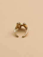 H Ring