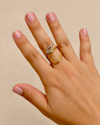 Drop Ring