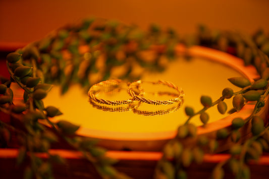 Elegance Hoops Earrings
